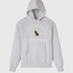 OVO Collegiate Hoodie - Ash Heather Grey